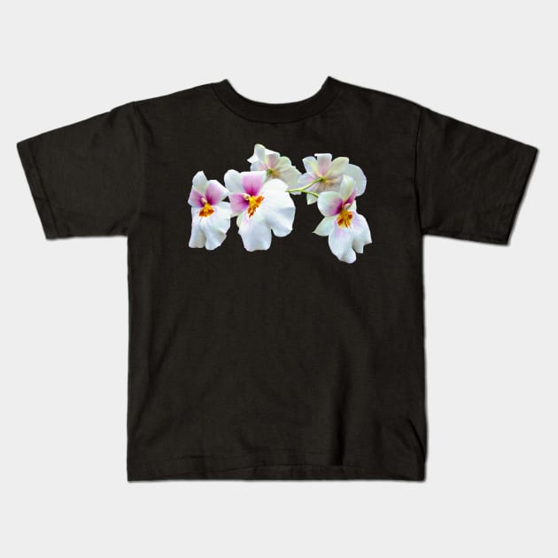 Orchid Miltoniopsis Florentine Kids T-Shirt by SusanSavad